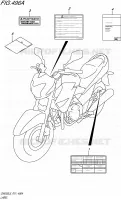 LABEL for Suzuki INAZUMA 250 2015