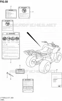 LABEL (LT F250L3 E17) for Suzuki OZARK 250 2013