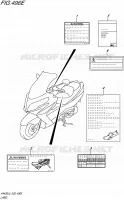 LABEL (AN400ZAL5 E19) for Suzuki BURGMAN 400 2015