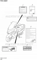 LABEL (AN400L5 E19) for Suzuki BURGMAN 400 2015