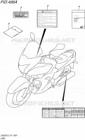 LABEL for Suzuki INAZUMA 250 2015