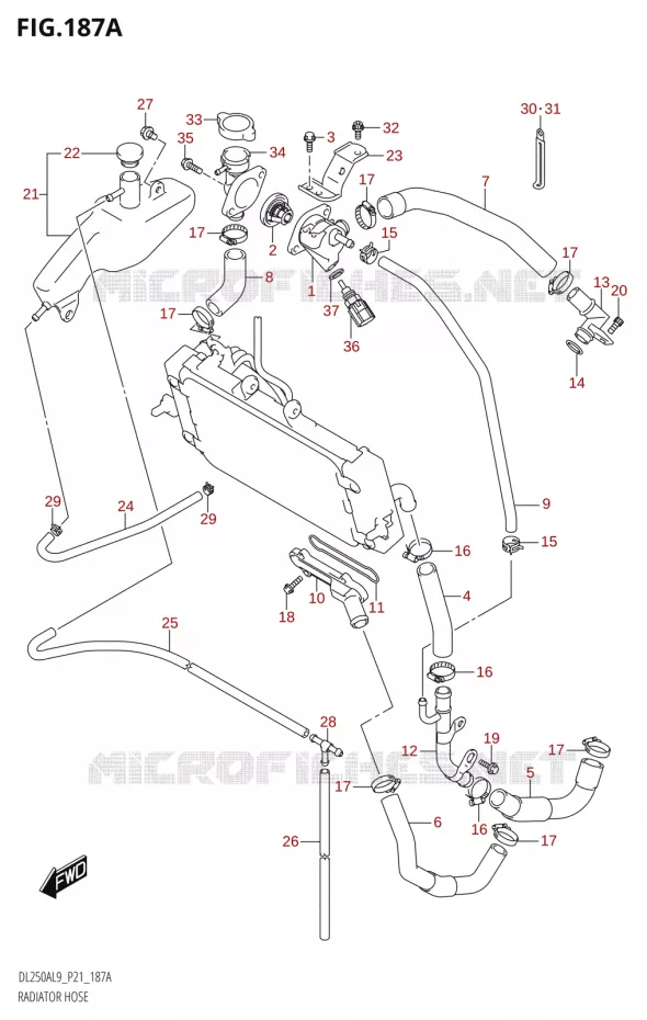 RADIATOR HOSE Suzuki MOTO 250 V-STROM 2019  DL250A L9 (P21)