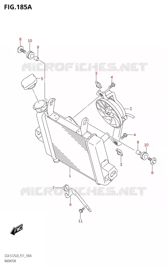 RADIATOR Suzuki MOTO 125 GSX-S 2018  GSX-S125MLX L8 (P21)
