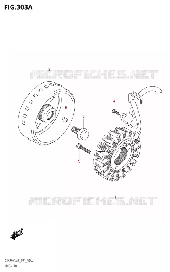 IGNITION Suzuki MOTO 250 INAZUMA 2018  GW250RAZ L8 (P21)