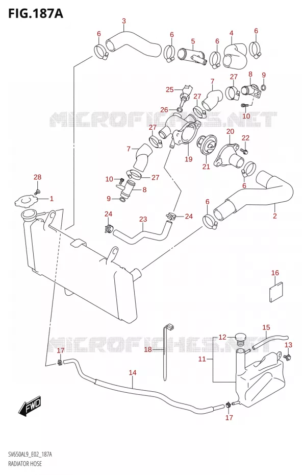 RADIATOR HOSER (SV650AL9 E02) Suzuki MOTO 650 SV 2019  SV650A L9 (E02)