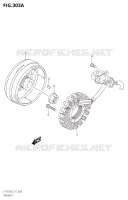 IGNITION for Suzuki OZARK 250 2018