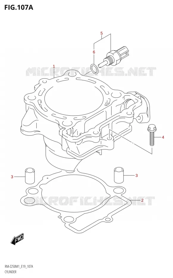 CYLINDER Suzuki MOTO 250 RM-Z 2021  RM-Z250 M1 (E19)