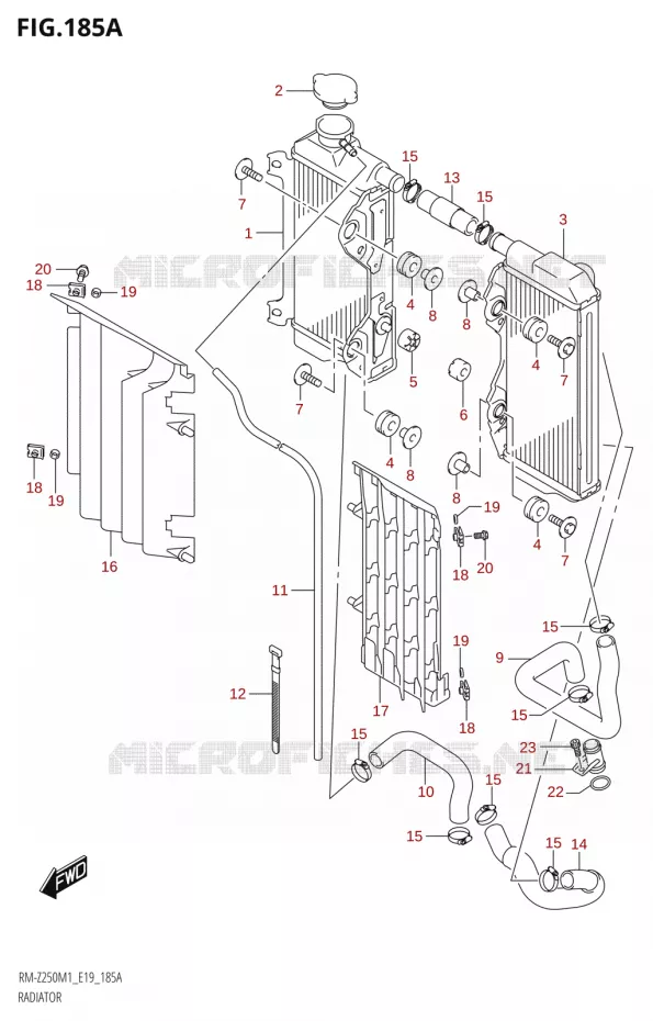 RADIATOR Suzuki MOTO 250 RM-Z 2021  RM-Z250 M1 (E19)