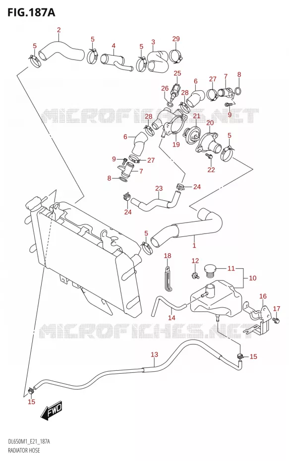 RADIATOR HOSE - EXPANSION TANK Suzuki MOTO 650 V-STROM 2021  DL650A M1