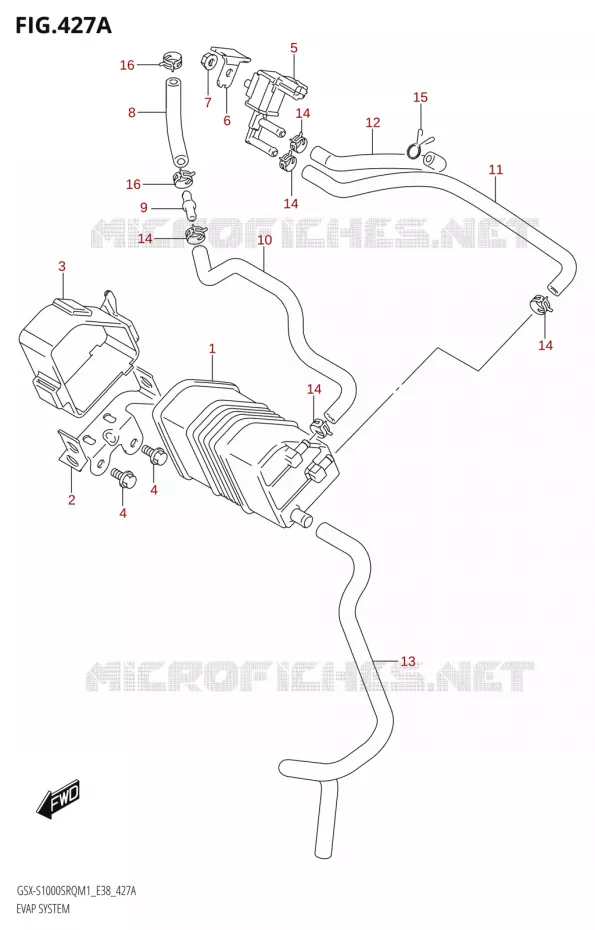 FUEL EVAP SYSTEM Suzuki MOTO 1000 KATANA 2021  GSX-S1000SRQ M1 (E38)