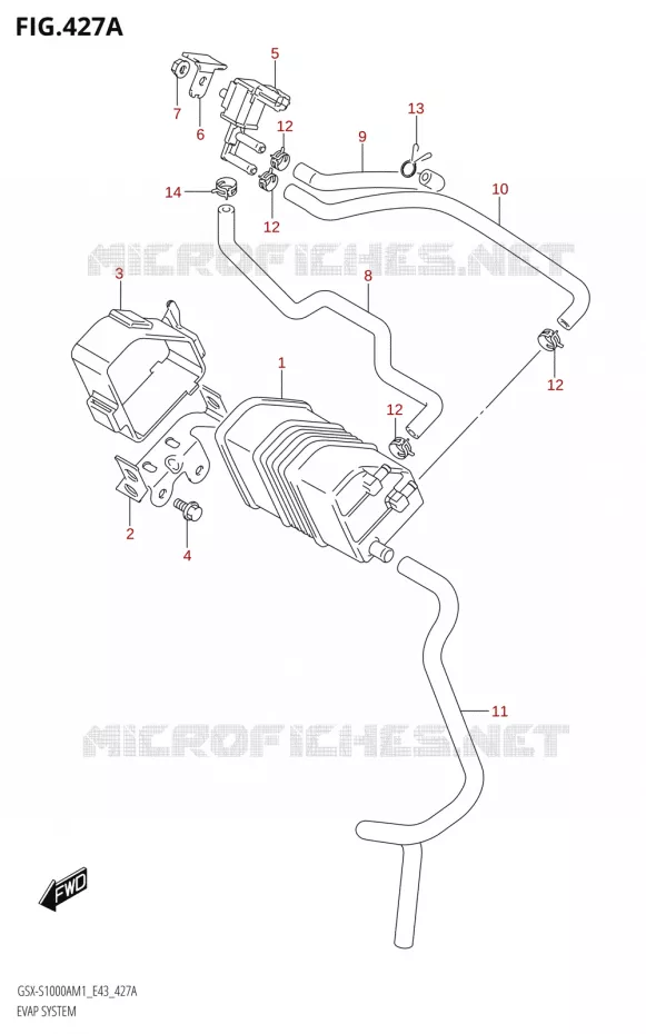 FUEL EVAP SYSTEM Suzuki MOTO 1000 GSX-S 2021  GSX-S1000A M1 /​ GSX-S1000AZ M1 (E43)