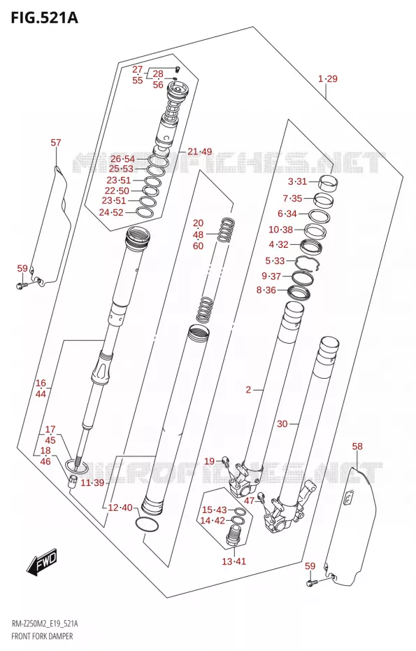 FRONT FORK Suzuki MOTO 250 RM-Z 2022  RM-Z250 M2 (E19)
