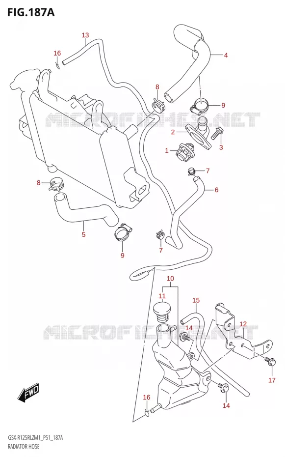 RADIATOR HOSE Suzuki MOTO 125 GSX-R 2021  GSX-R125RLZ M1 (P51)