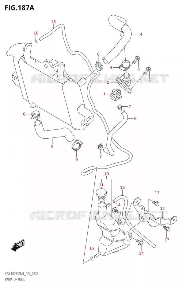 RADIATOR HOSE Suzuki MOTO 125 GSX-R 2021  GSX-R125XA M1 (P24)