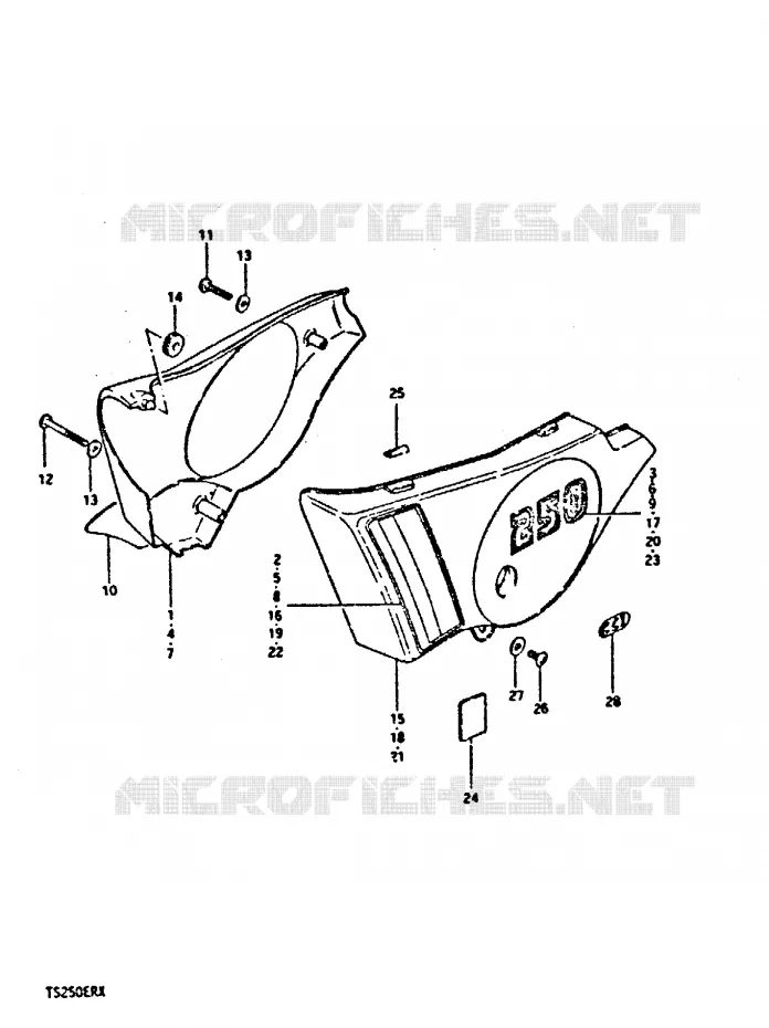 FAIRING (TS250ERT) Suzuki MOTO 250 TS-ER 1996  TS250ERT(T/X)