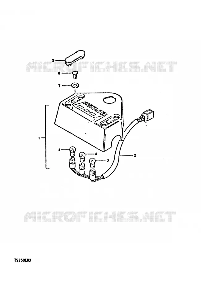 PILOT LAMPS Suzuki MOTO 250 TS-ER 1996  TS250ERT(T/X)