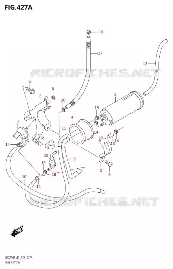 FUEL EVAP SYSTEM Suzuki MOTO 250 GSX-R 2021  GSX250R M1 (P28)