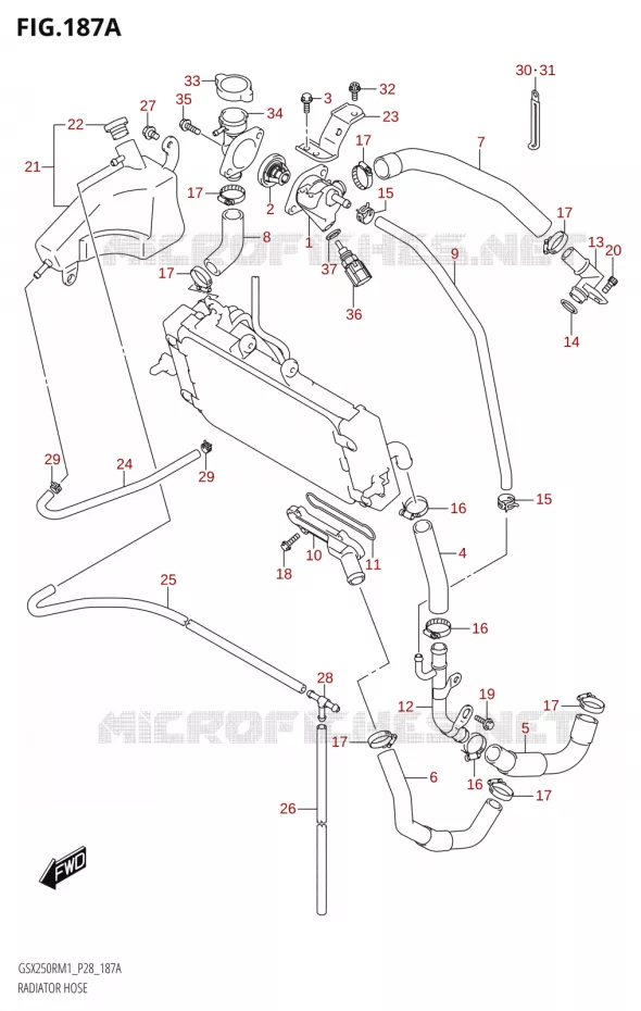 RADIATOR HOSE - EXPANSION TANK Suzuki MOTO 250 GSX-R 2021  GSX250R M1 (P28)