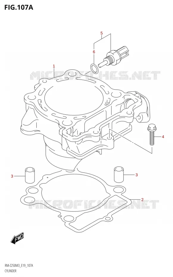 CYLINDER Suzuki MOTO 250 RM-Z 2023  RM-Z250 M3 (E19)