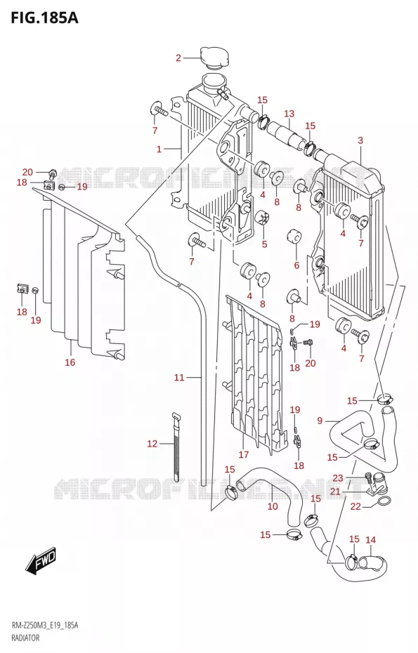 RADIATOR Suzuki MOTO 250 RM-Z 2023  RM-Z250 M3 (E19)