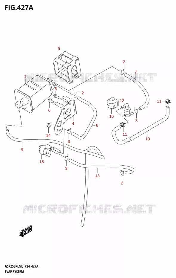 FUEL EVAP SYSTEM Suzuki MOTO 250 GSX-R 2023  GSX250RL M3 (P24)