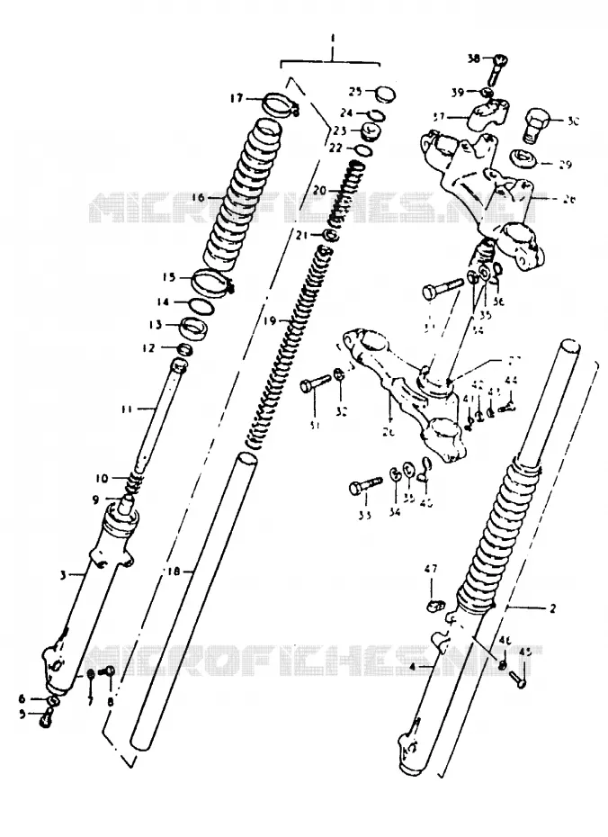 FRONT FORK Suzuki MOTO 50 TS-ER 1982  TS50ERKDBZ(Z/D)