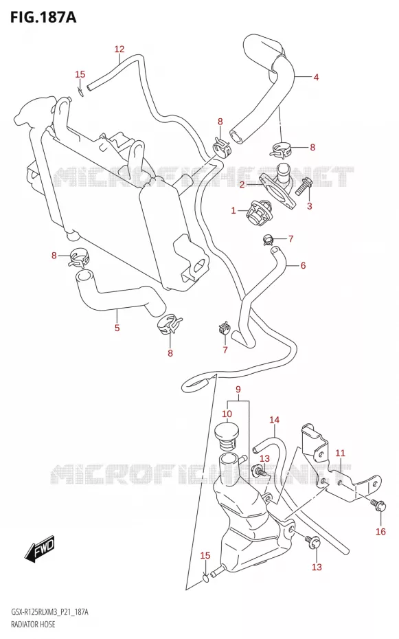 RADIATOR HOSE - EXPANSION TANK Suzuki MOTO 125 GSX-R 2023  GSX-R125RLX M3 (P21)