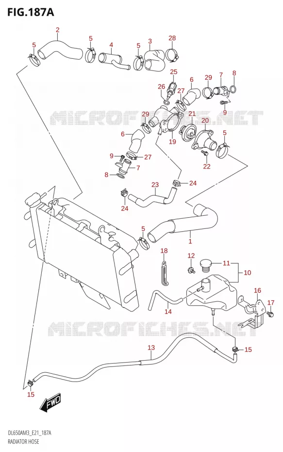 RADIATOR HOSE - EXPANSION TANK Suzuki MOTO 650 V-STROM 2023  DL650AM3