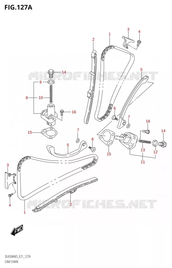 TIMING Suzuki MOTO 650 V-STROM 2023  DL650AM3