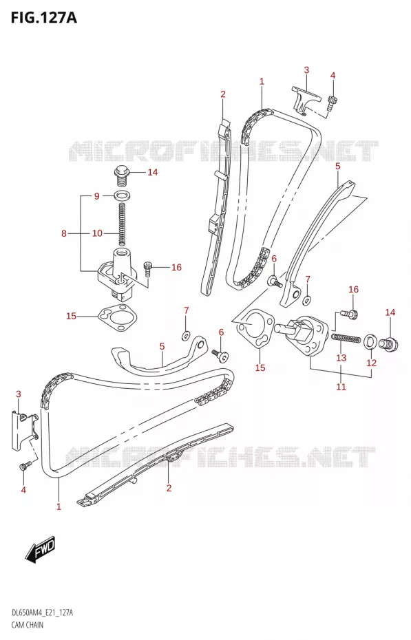 TIMING Suzuki MOTO 650 V-STROM 2024  DL650AM4