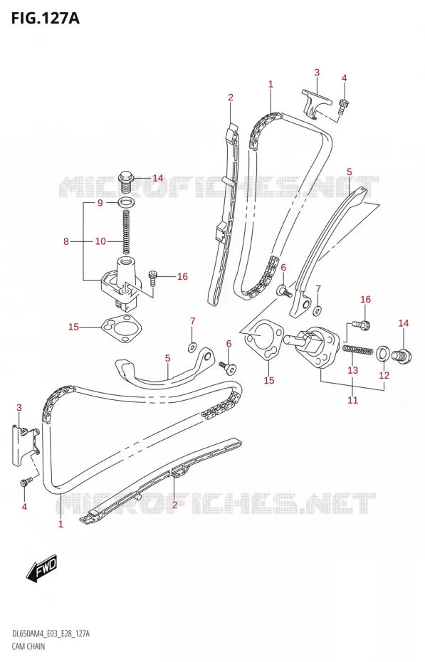 TIMING Suzuki MOTO 650 V-STROM 2024  DL650AM4