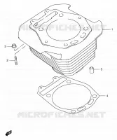 CYLINDER for Suzuki DR 650 2005