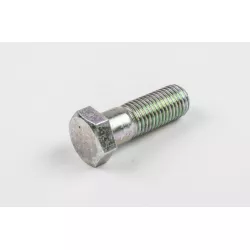 SIDE STAND BOLT
