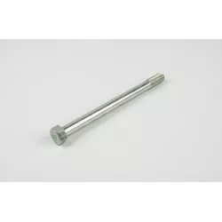 BOLT (10X130)