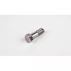 TORQUE LINK BOLT