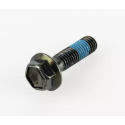 BOLT
