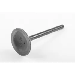 VALVE,INTAKE