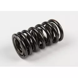 SPRING SET,VALVE
