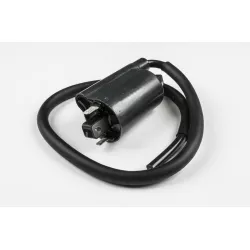 COIL ASSY,IGNITION